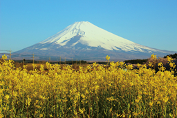 裾野市様 外観