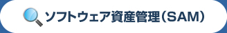 ソフトウェア資産管理（SAM）