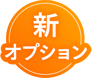 新オプション